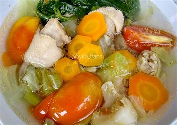 Cara Bikin Sop Ayam Praktis Di Rice Cooker