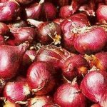 Cara Menyimpan Bawang Merah Dan Putih Agar Tahan Lama