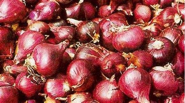 Cara Menyimpan Bawang Merah Dan Putih Agar Tahan Lama