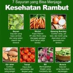Cara Menyimpan Sayuran Agar Tetap Segar Sampai Seminggu