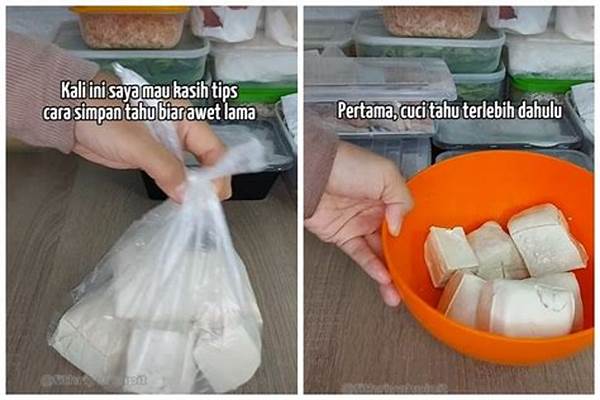 Cara Menyimpan Tahu Dan Tempe Di Kulkas Agar Awet