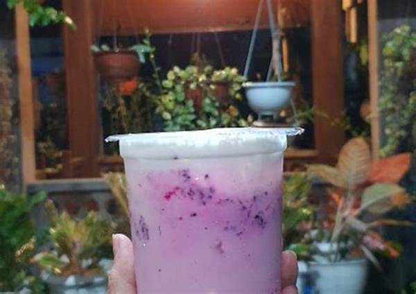 Bahan-bahan Boba Buah Naga