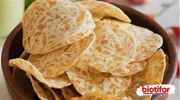 Bahan-bahan Keripik Tempe Lezat