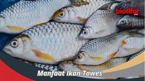 Ikan Panggang Sehat Ramah Lingkungan