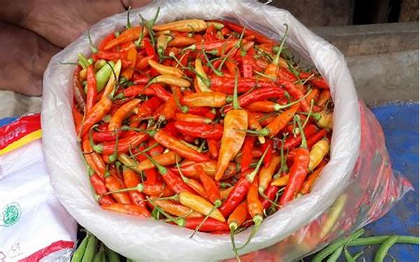 Ledakan Pedas Di Mulut Cabai Rawit