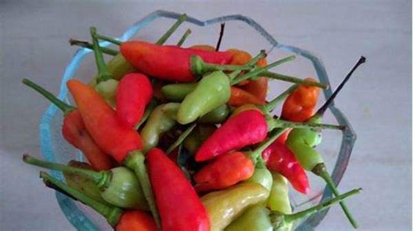 Mengatasi Pedas Cabai Rawit