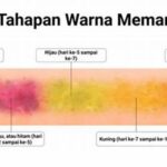 **peran Warna Dan Bentuk Pada Kue**