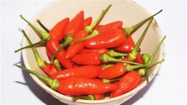 Sensasi Pedas Dari Cabai Rawit