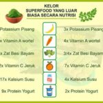 Kandungan Gizi Dalam Lalapan Segar