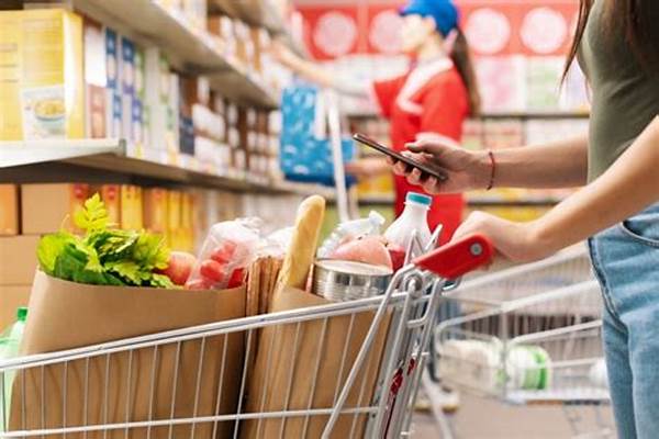 Strategi Belanja Bulanan Efisien