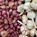 Bawang Merah Dan Putih.