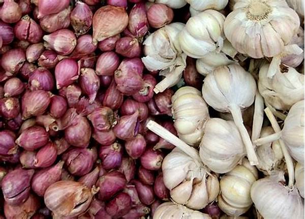 Bawang Merah Dan Putih.