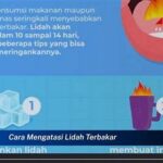 Redakan Mulut Terbakar Secara Alami