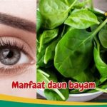 Konsumsi Bayam Mendukung Kesehatan Mata