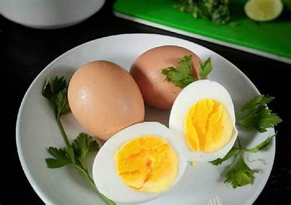 Menu Sarapan Sehat Telur Rebus