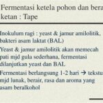 Optimalisasi Suhu Fermentasi Untuk Roti