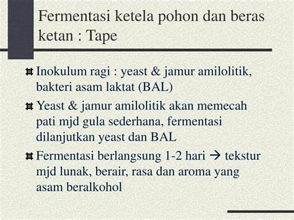 Optimalisasi Suhu Fermentasi Untuk Roti