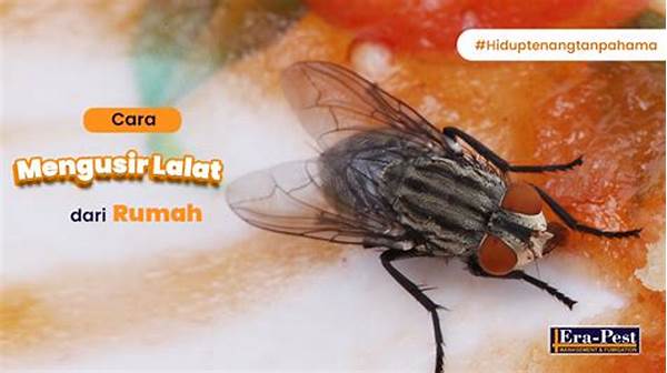 Tips Menghilangkan Lalat Dari Area Dapur