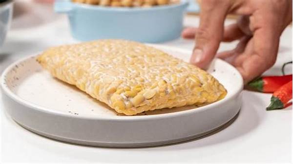 Tips Praktis Memasak Tempe