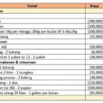 Cara Mengatur Keuangan Mingguan Anak Kos